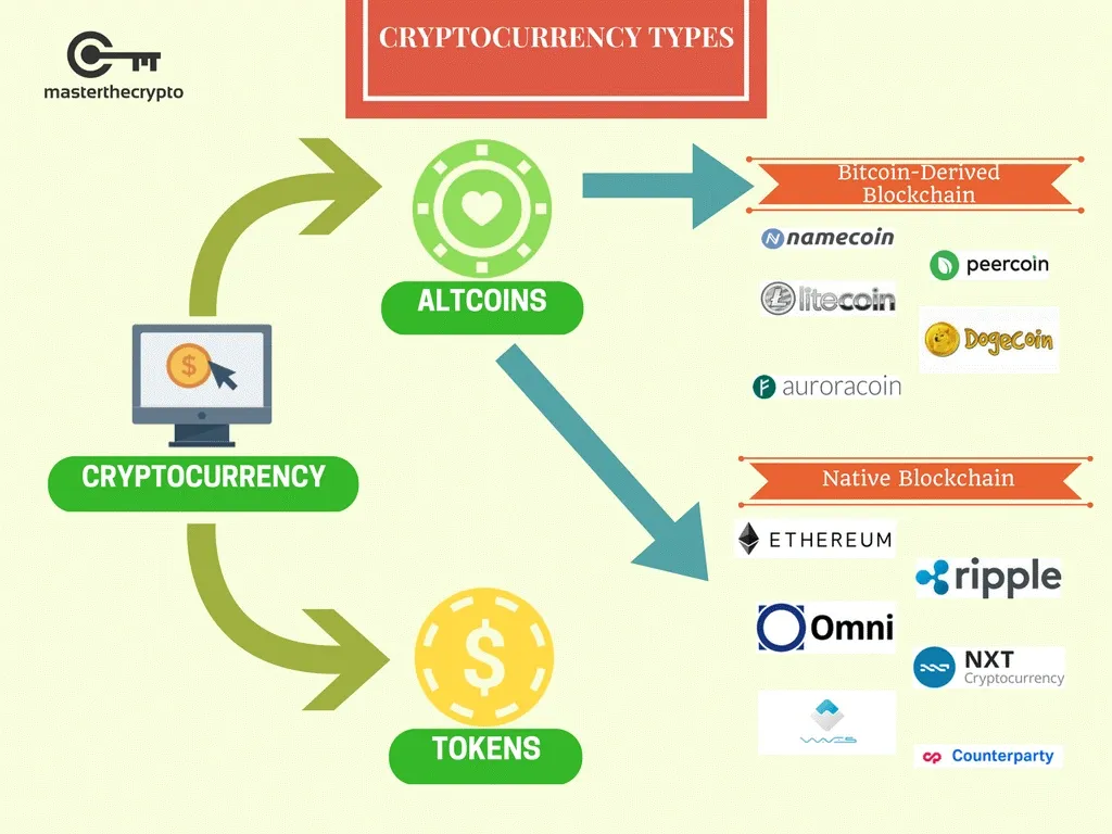 Diagram showing cryptocurrency types divided into altcoins and tokens with examples of Bitcoin-derived and native blockchain altcoins.